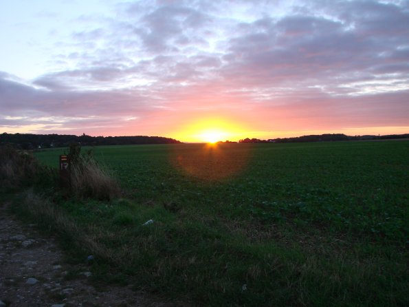 DSC09925