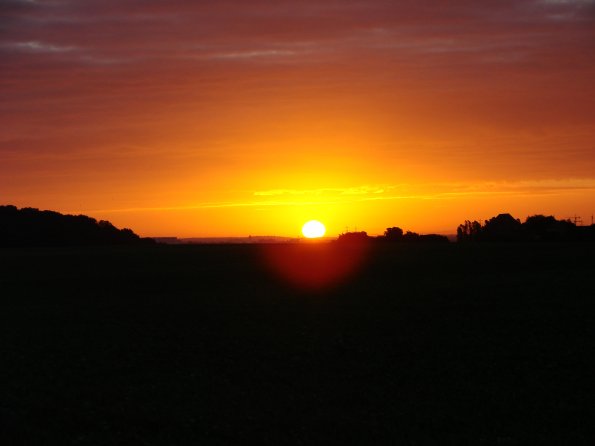 DSC09926